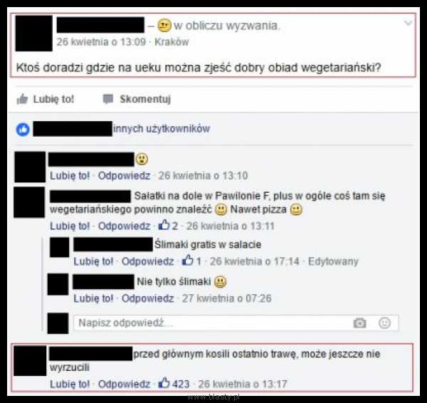 Coś dla wegetarian