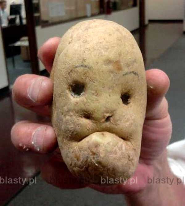ziemniaczek.jpg
