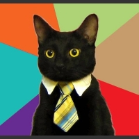 Kot biznesmen w krawacie