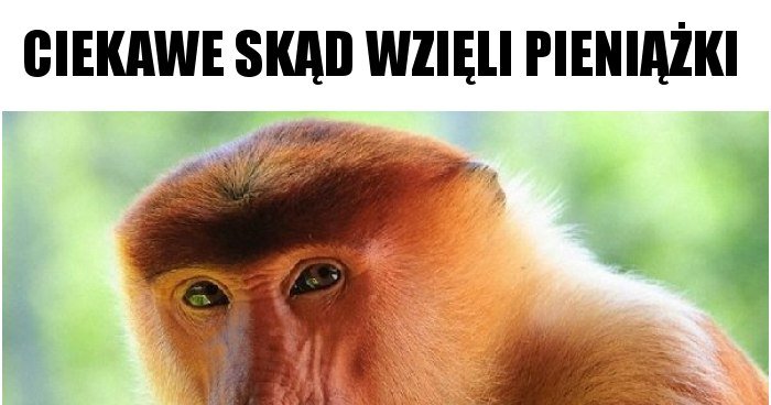 ciekawe-skad-wzieli-pieniazki_2018-03-15_22-29-12.jpg