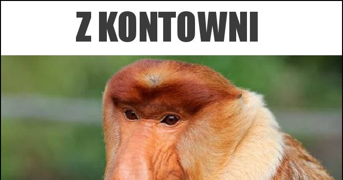 z-kontowni_2019-09-24_11-11-09.jpg