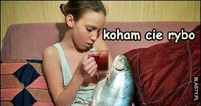 Kocham Cię rybo pij ze mną kompot memy, gify i śmieszne obrazki facebook,  tapety, demotywatory zdjęcia
