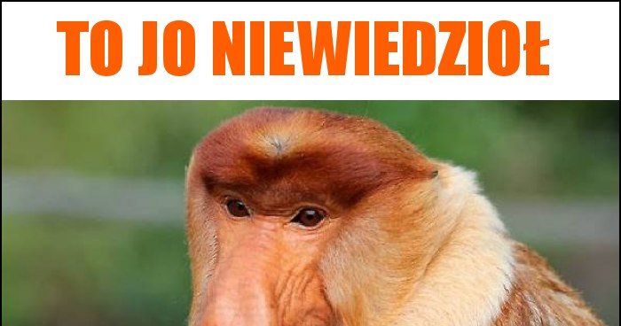 To jo niewiedzioł memy, gify i śmieszne obrazki facebook, tapety,  demotywatory zdjęcia