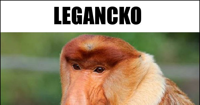legancko_2021-06-10_11-36-59.jpg