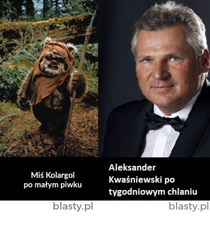 Aleksander Kwaśniewski vs Miś Kolargol