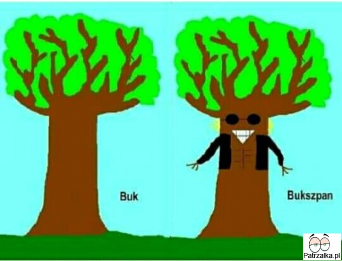 Buk vs Buk Szpan