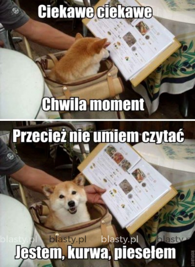 Ciekawe ciekawe, chwila moment