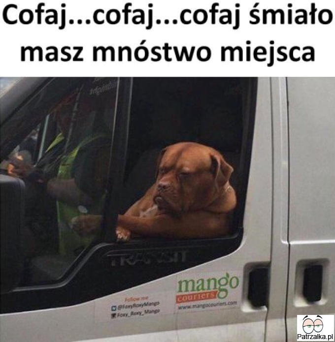 Cofaj, cofaj śmiało masz mnustwo miejsca