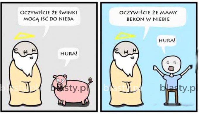 Czy świnki mogą iść do nieba ?