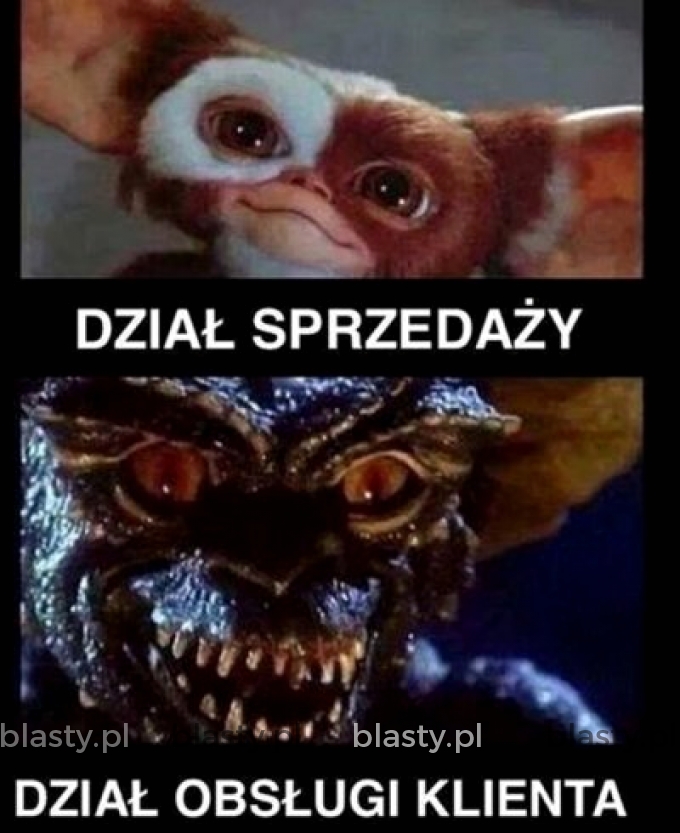 Dział sprzedaży vs dział obsługi klienta