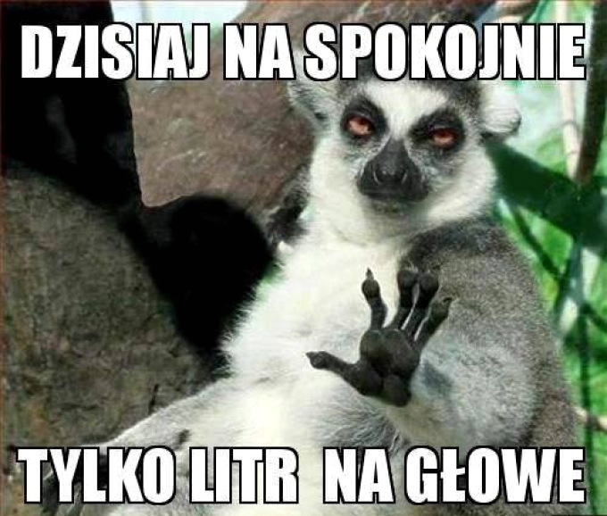 Dzisiaj na spokojnie, tylko litr na głowę