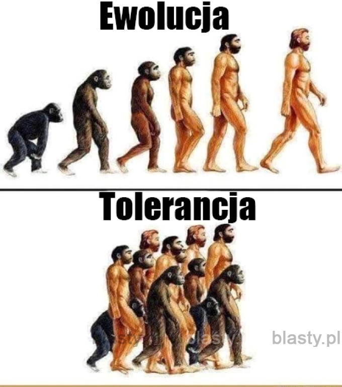 Ewolucja vs tolerancja