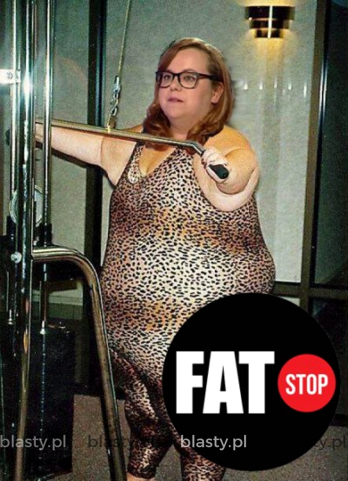 Fat stop