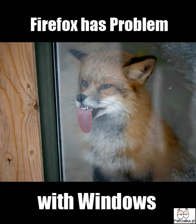 Firefox and his System