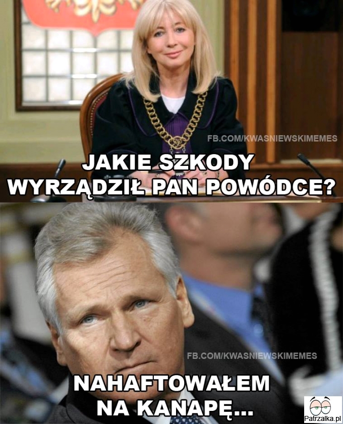 Jakie szkody wyrządził Pan Powódce ?