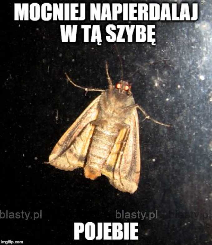 Już niedługo