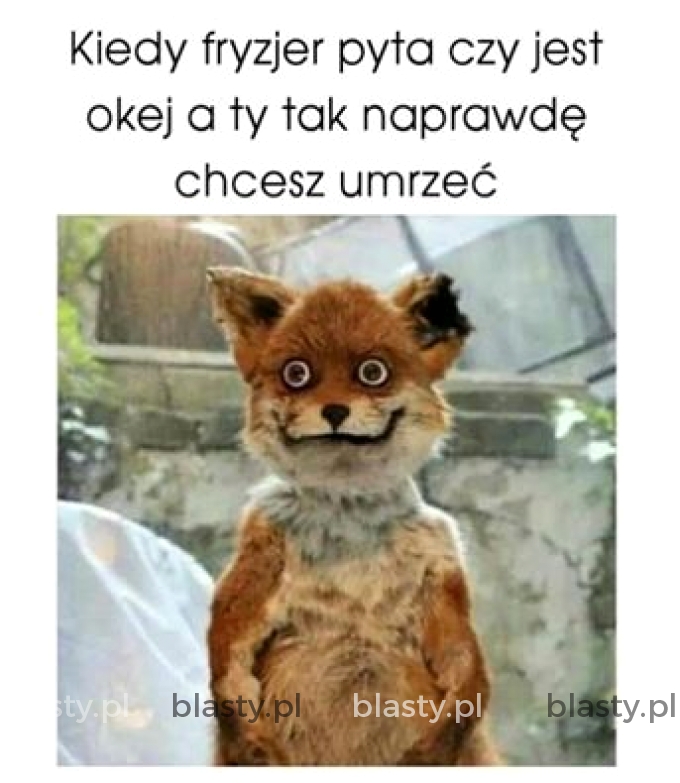 Kiedy fryzjer pyta czy jest okey