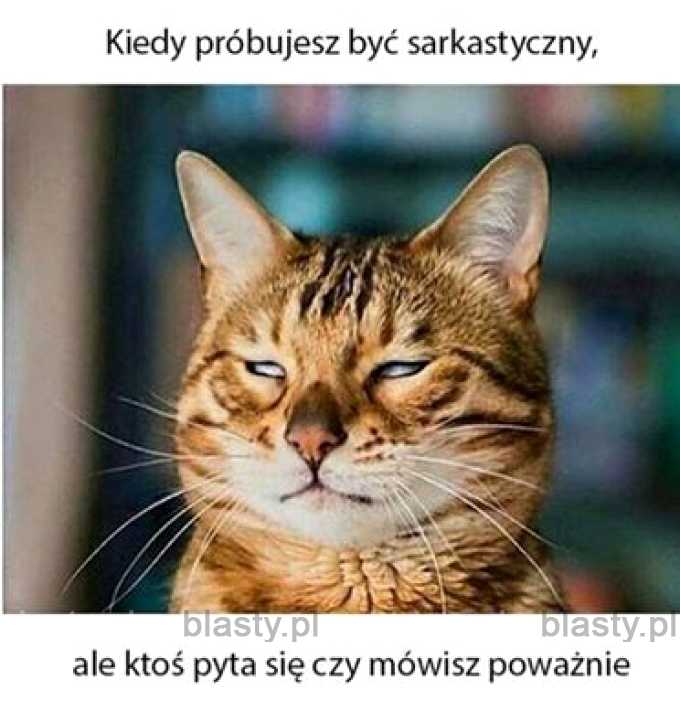 Kiedy próbujesz być sakrastyczny