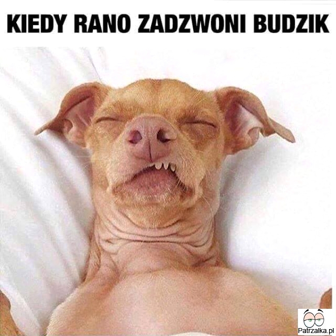 Kiedy rano zadzwoni budzik