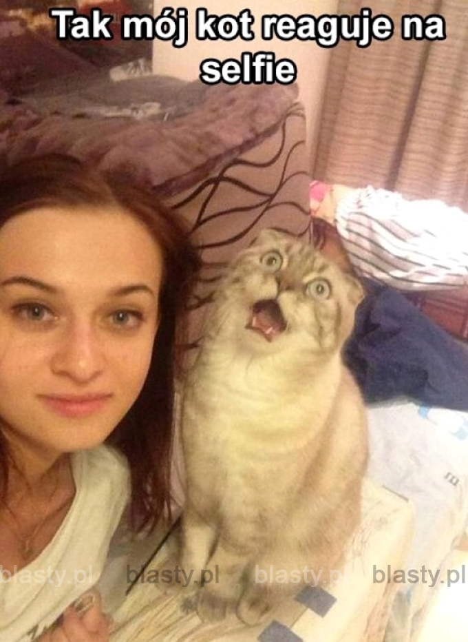 Kiedy robisz selfie z kotem