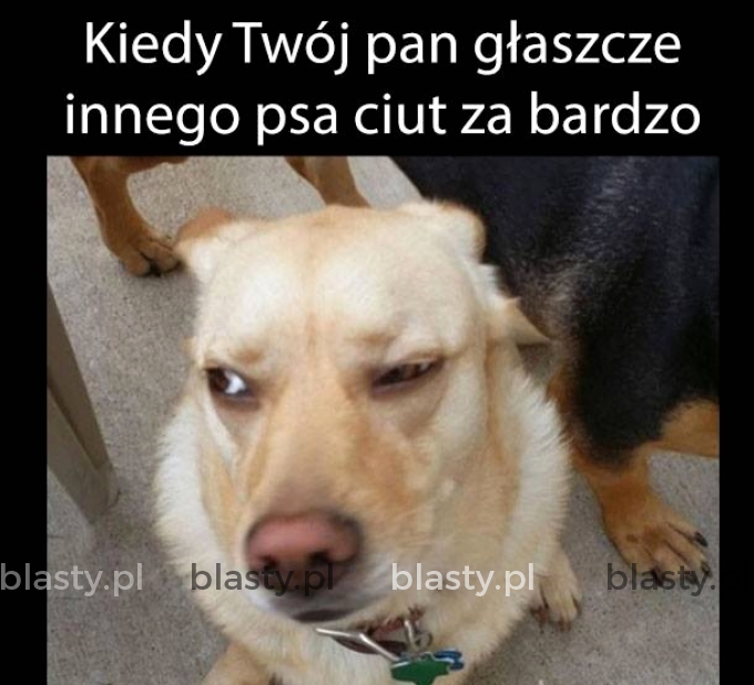 Kiedy Twój Pan