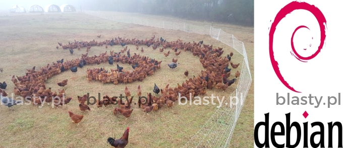 Kiedy Twoje kury przywołują Czarne Mocne