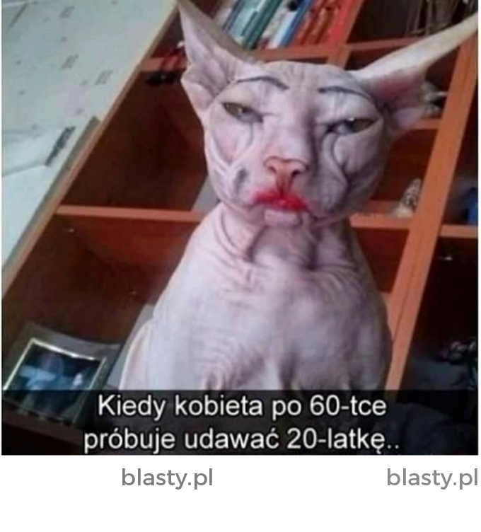 Kobiety tak już mają