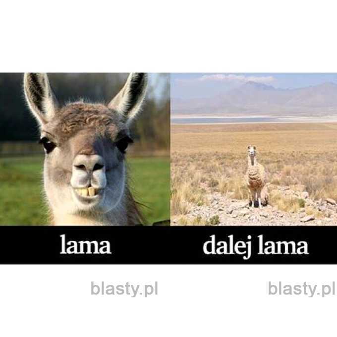 Lama vs dalej lama