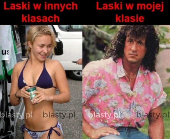 Laski w szkole