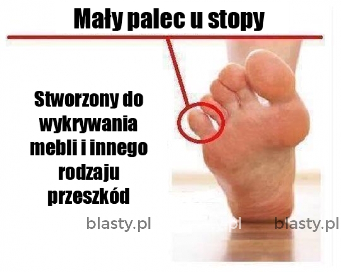 Mały palec