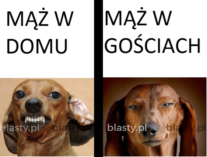 Mąż w domu vs mąż w gościach