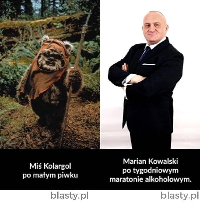 Miś koralgol vs Marian Kowalski