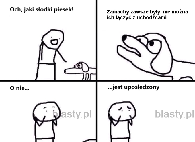 Och jaki słodki piesek