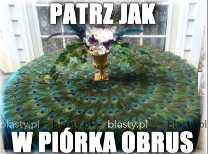 Patrz jak