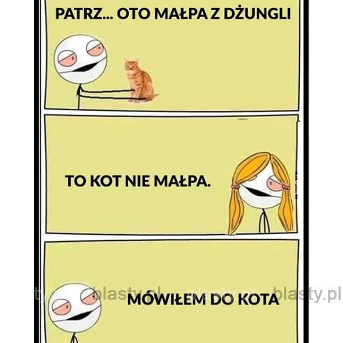 Patrz oto małpa z dżungli