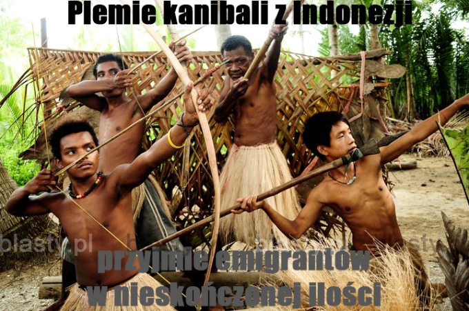 Plemie kanibali z indonezji przyjmie emigrantów