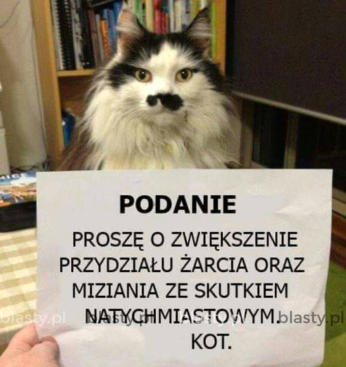 Podanie