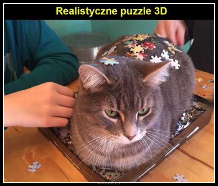 Realistyczne puzzle 3d