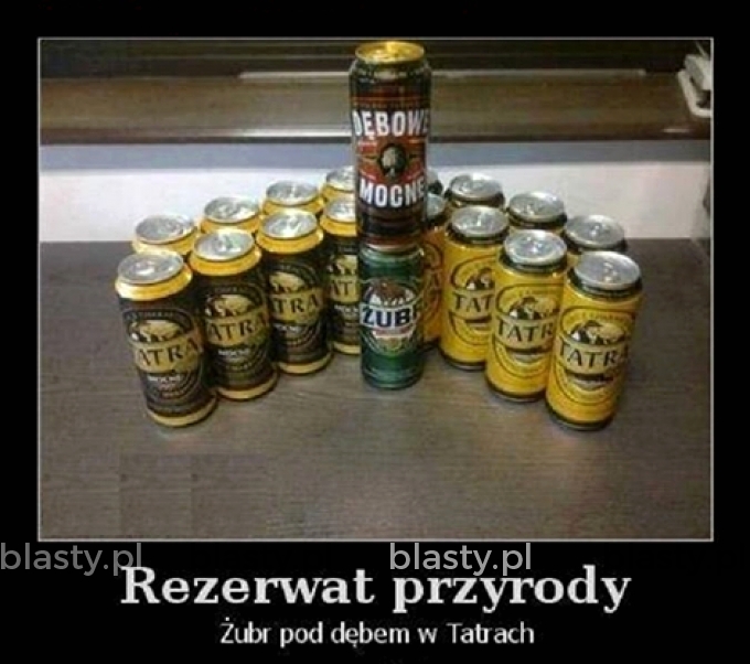 Rezerwat przyrody