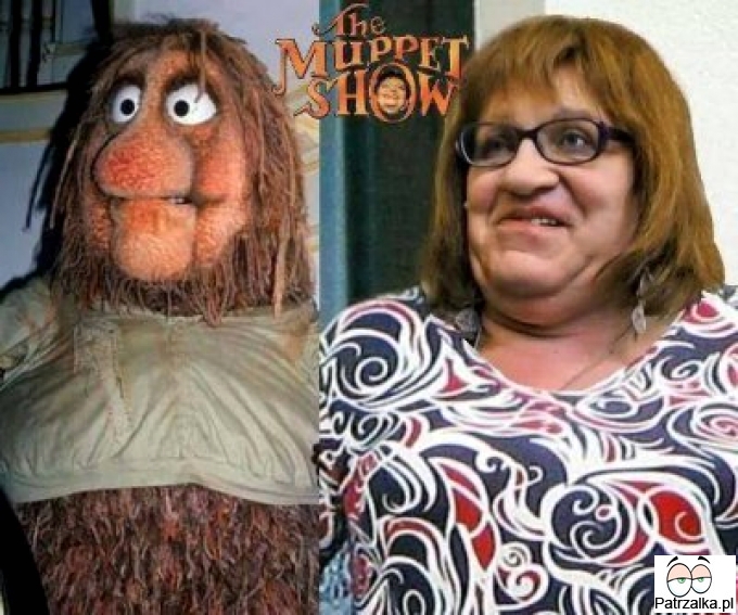 The muppet show