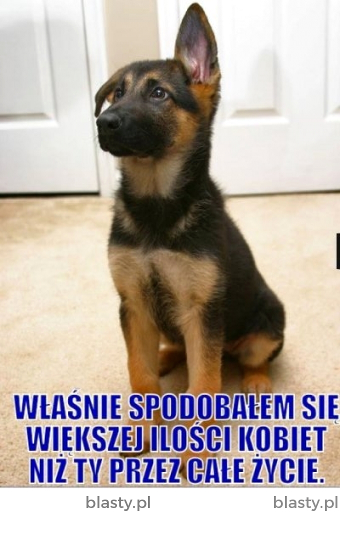 Właśnie spodobałem się