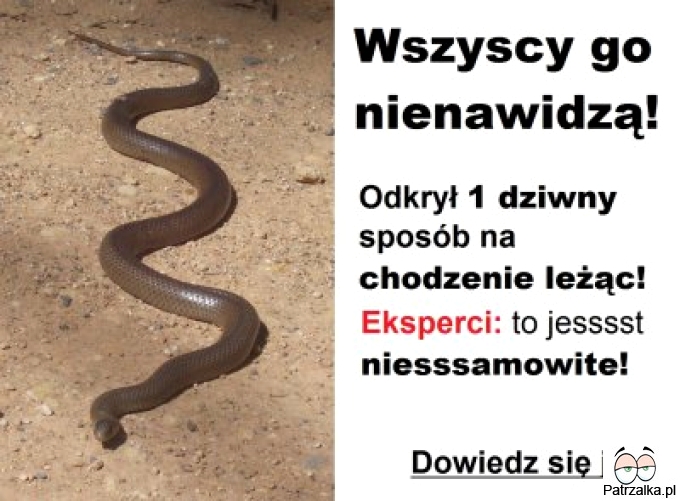 Wszyscy go nienawidzą, odkrył niezwykły sposób jak chodzić leżąc