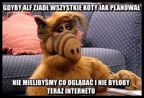 Alf i jego plany