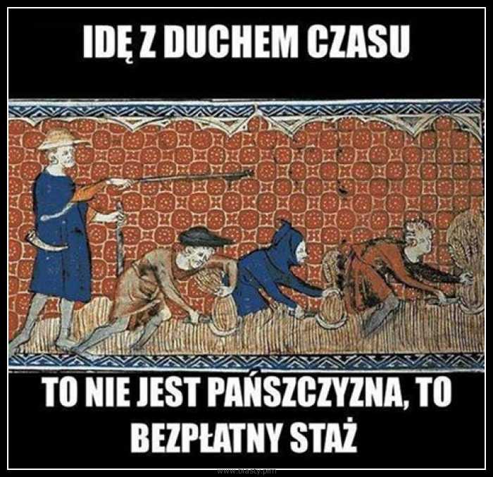 Bezpłatny staż