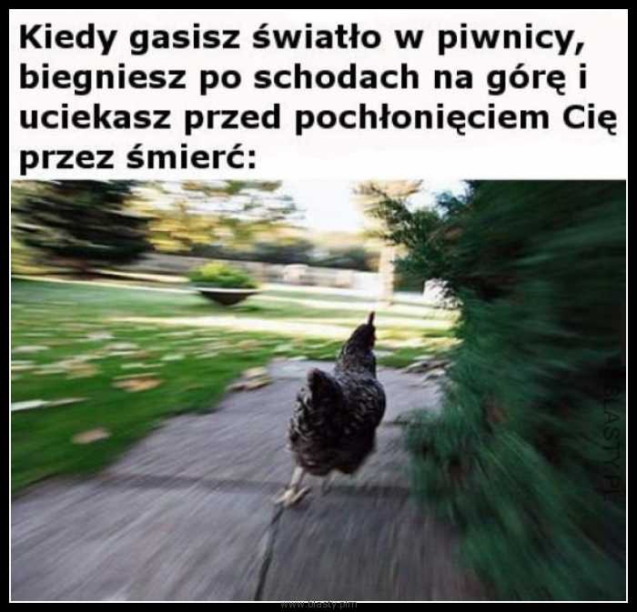 Kiedy gasisz światło w piwnicy