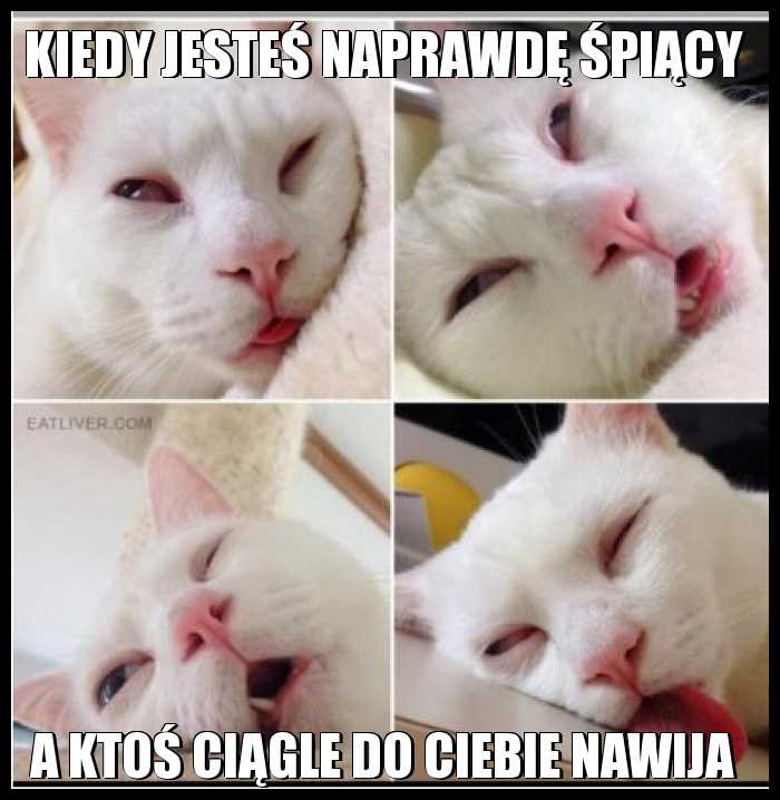 Kiedy jesteś naprawdę śpiący a ktoś ciągle do Ciebie nawija