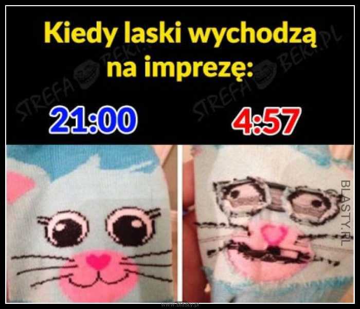 Kiedy laski wychodzą na imprezę