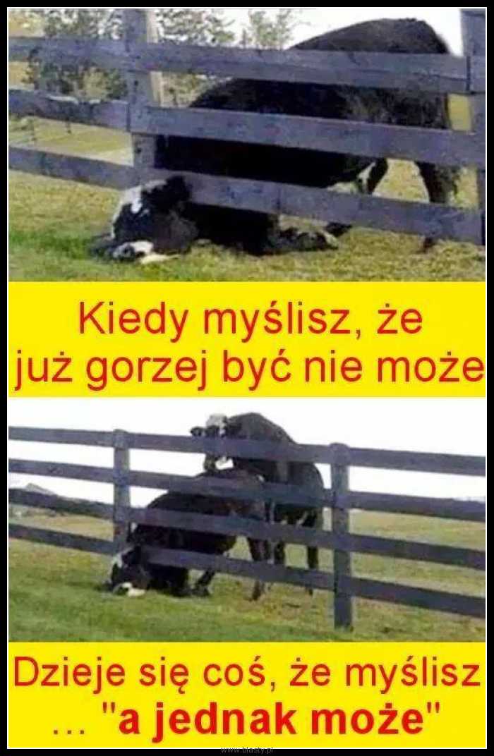 Kiedy myślisz, że już gorzej być nie może