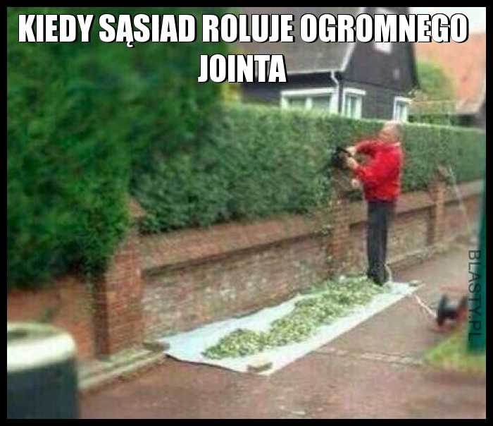 Kiedy sąsiad roluje ogromnego jointa