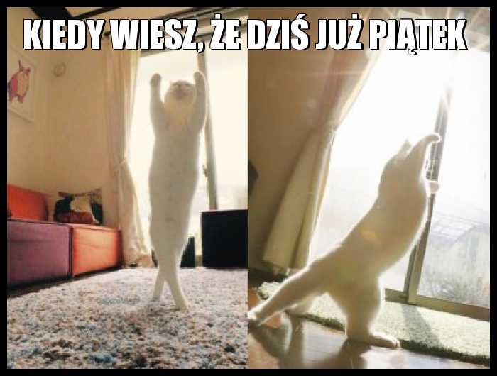 Kiedy wiesz, że dziś już piątek